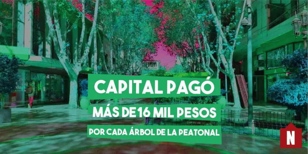 El municipio de la Capital pagó más de 16 mil pesos por cada árbol de la peatonal