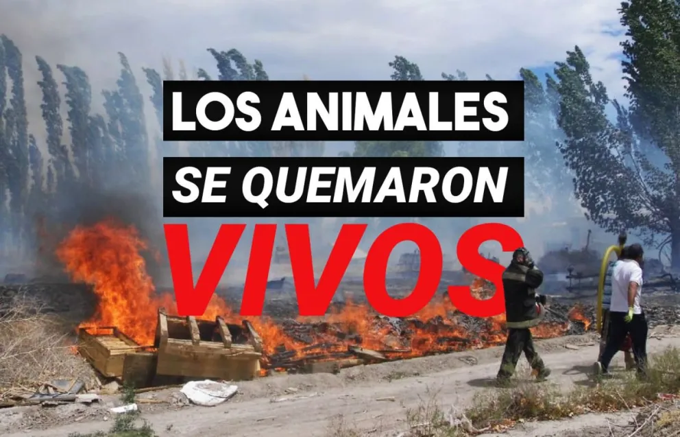 Incendio en Iglesia: el fuego afectó fincas