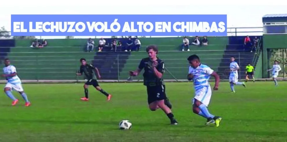 El lechuzo voló alto en Chimbas