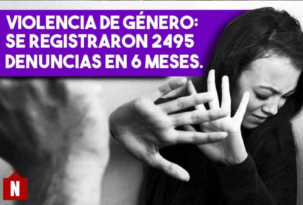 Violencia de Género: se registraron 2495 denuncias en 6 meses.
