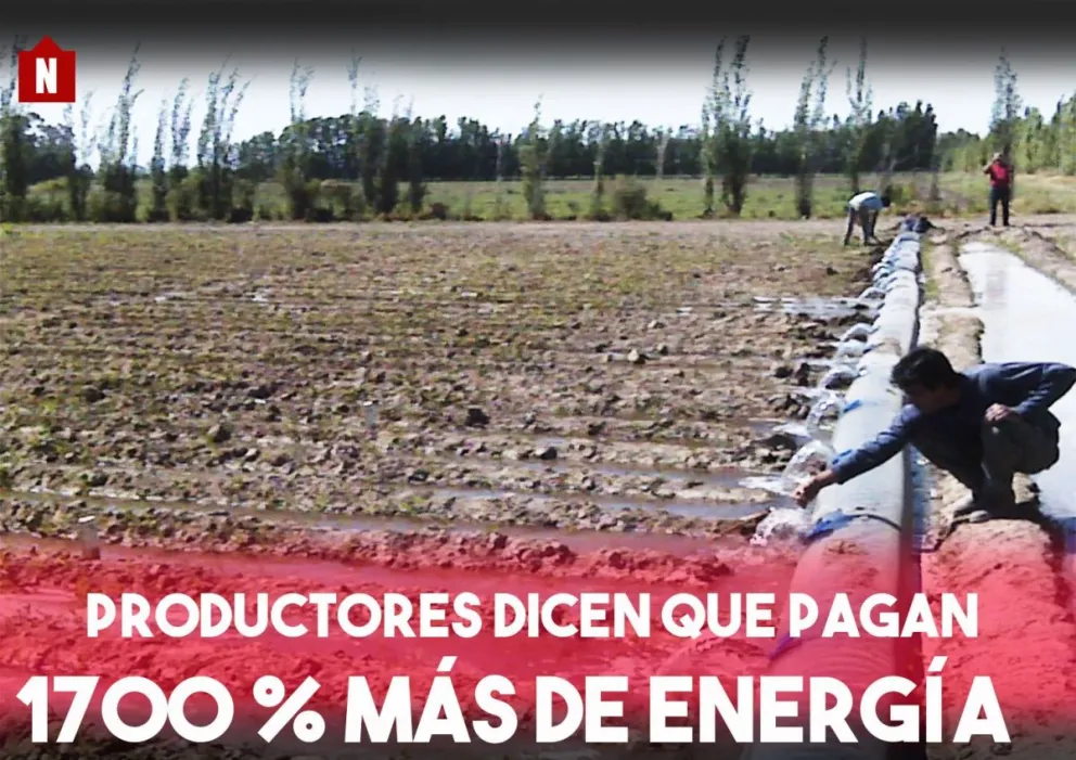 Productores dicen que pagan 1700% más de energía