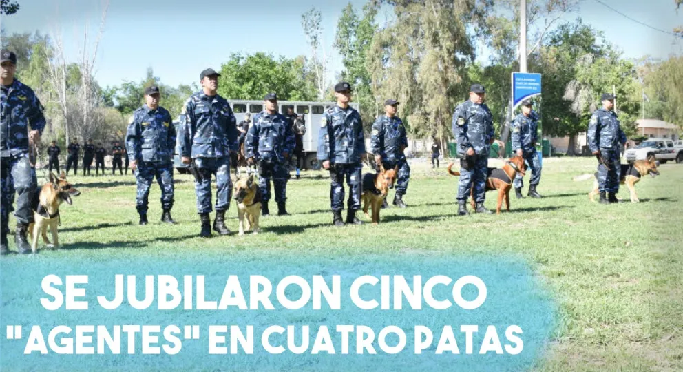 Se jubilaron cinco "agentes" en cuatro patas