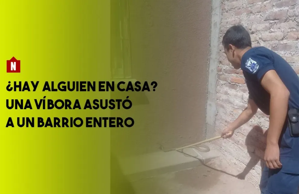 ¿Qué animal asustó a todo un barrio?