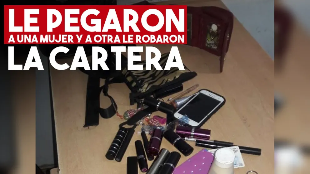 Le pegaron a una mujer y a otra le robaron la cartera