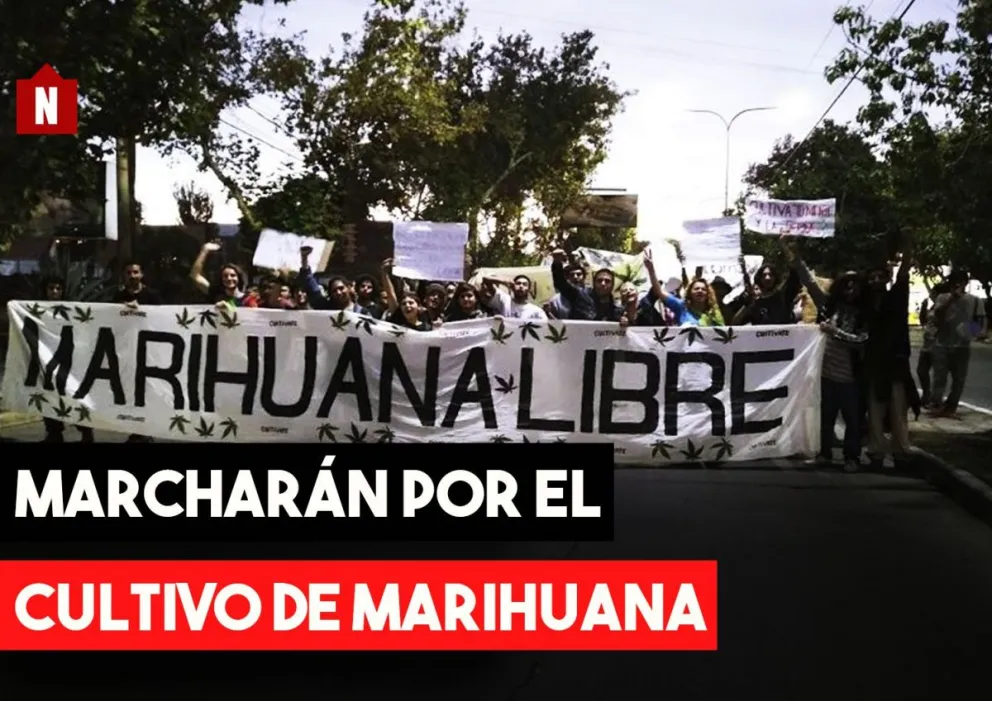 Marcharán por la legalización de la marihuana