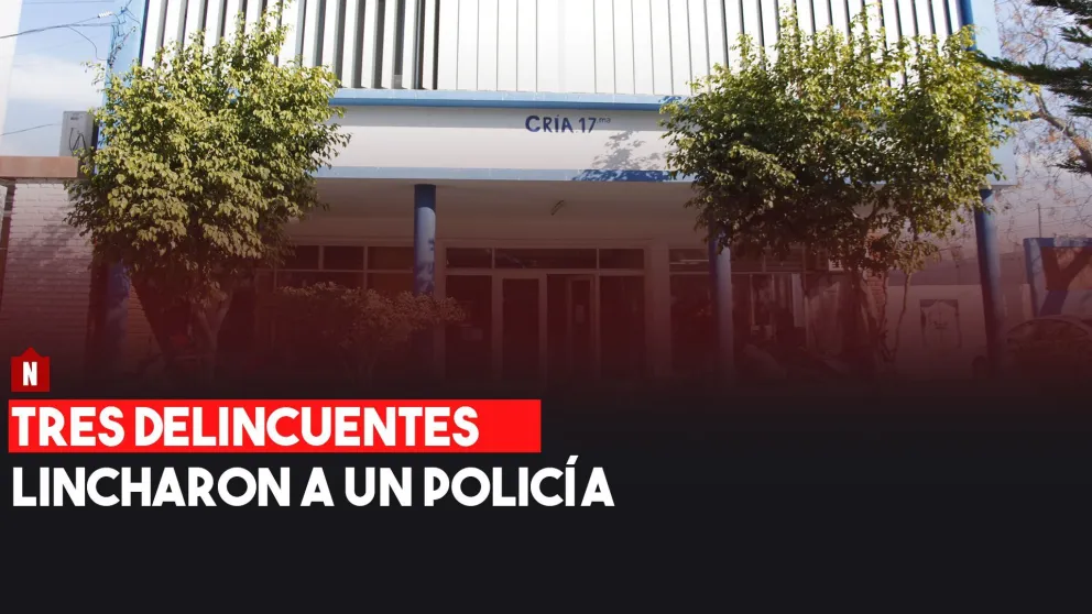 Tres delincuentes lincharon a un policía