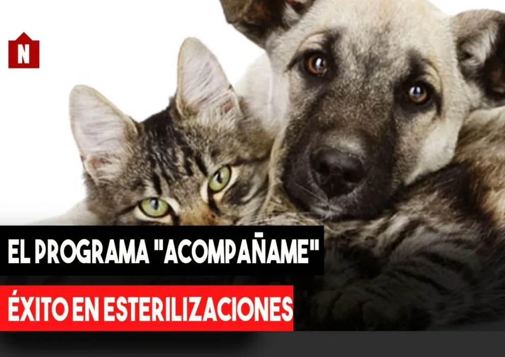 Fue un éxito el programa "Acompañame"