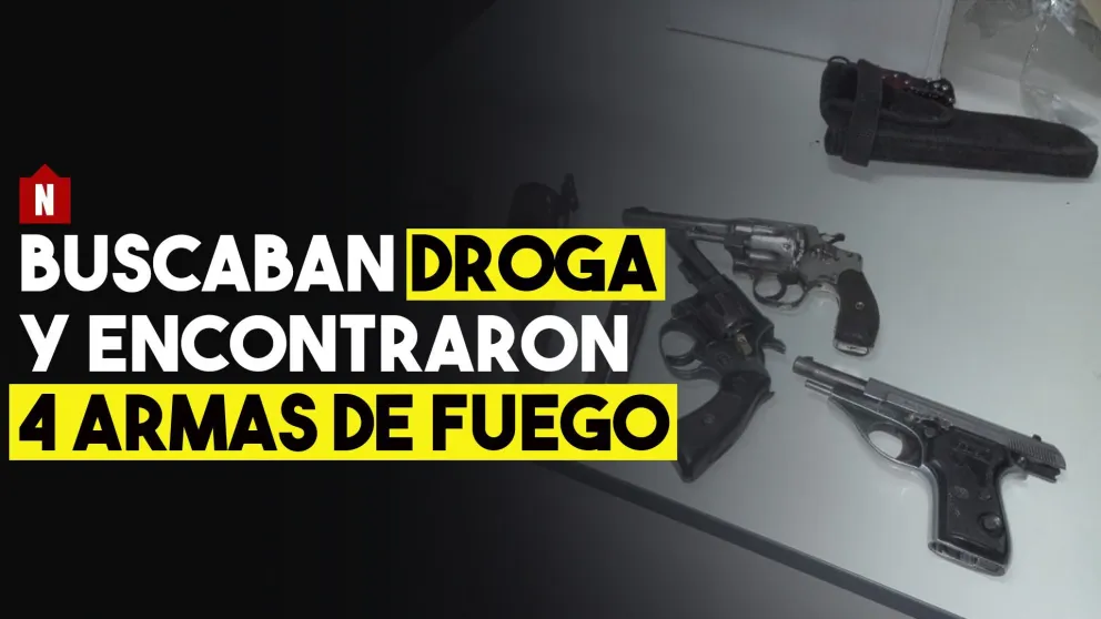 Buscaban drogas y encontraron 4 armas de fuego