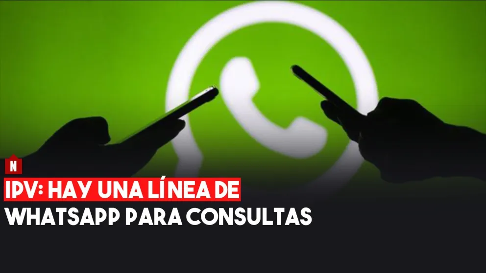 Consultá dudas por Whatsapp al IPV