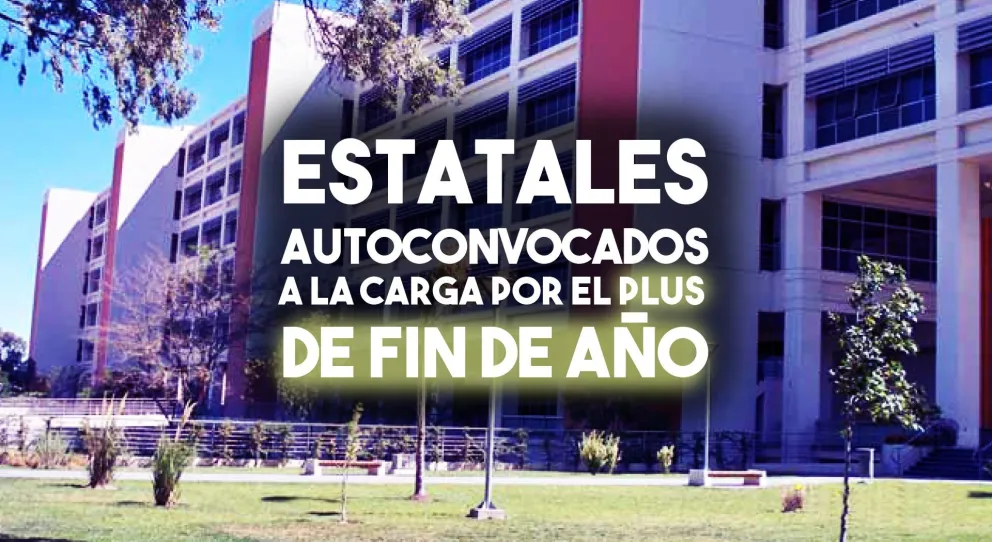 Estatales autoconvocados vuelven a la carga por el  bono fin de año