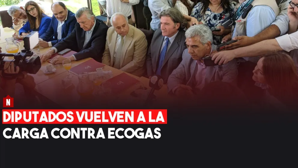 Diputados nacionales vuelven a la carga contra Ecogas