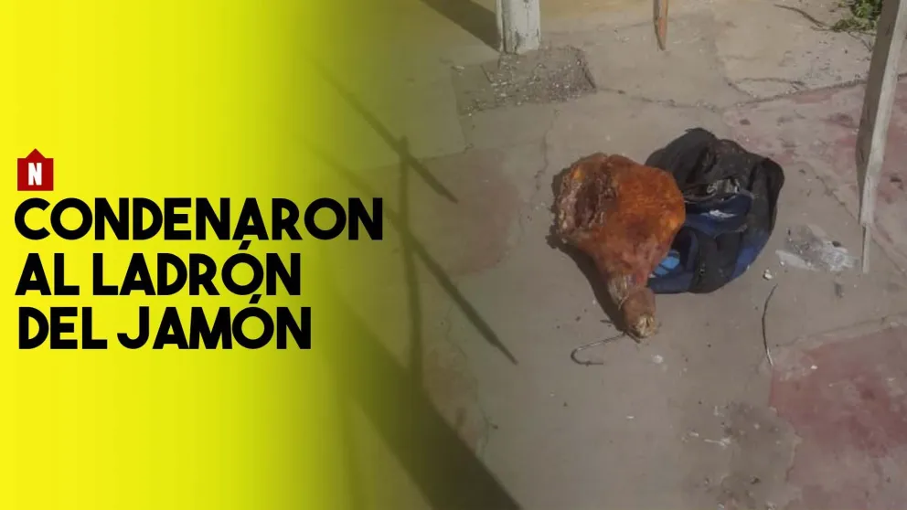 Condenaron al ladrón del jamón