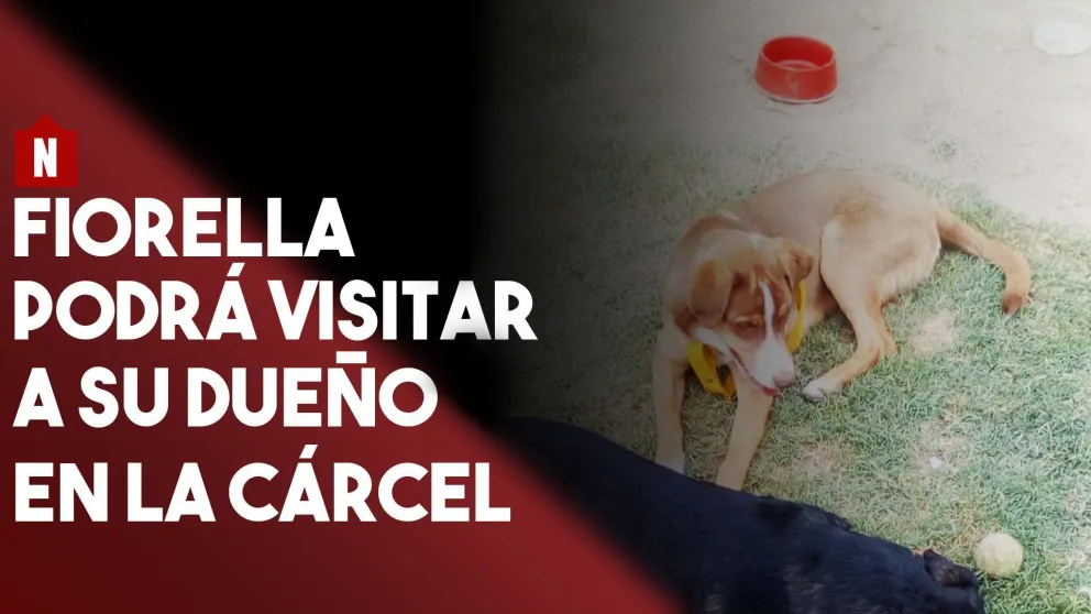 Fiorella podrá visitar a su dueño en la cárcel