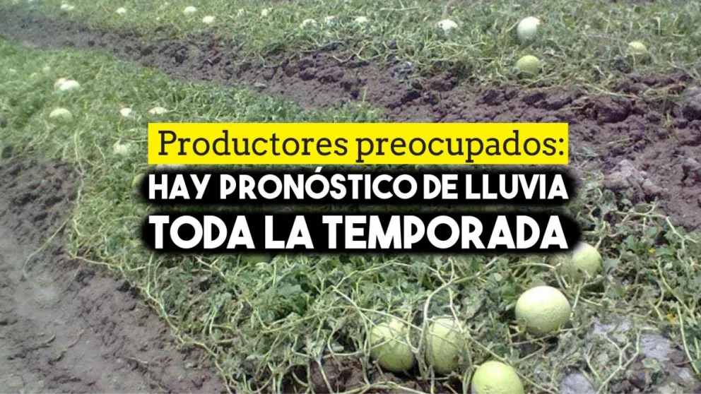 Productores preocupados: hay pronóstico de lluvia toda la temporada