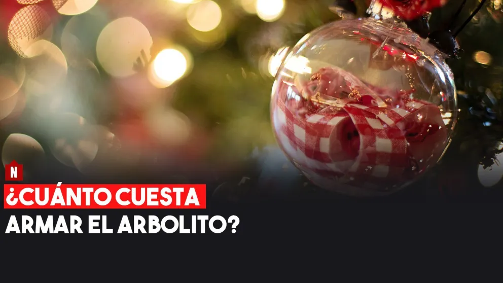 ¿Cuánto cuesta armar el arbolito de navidad?