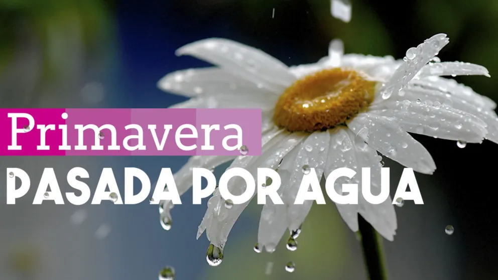 Primavera pasada por agua