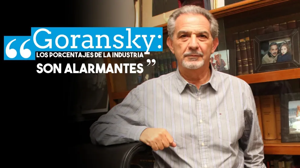 Goransky: "Los porcentajes de la industria son alarmantes"