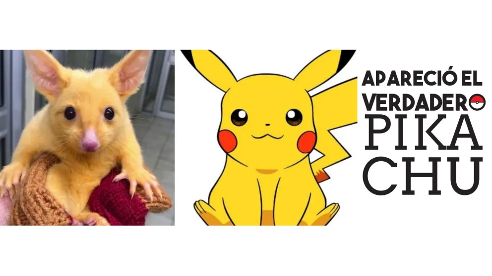 En Australia apareció Pikachu