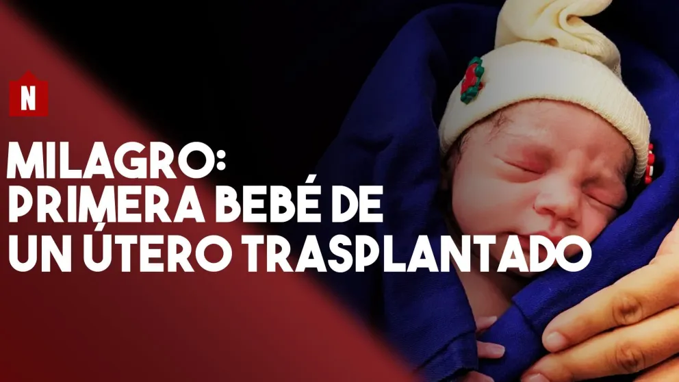 Por primera vez, una mujer estéril logró ser mamá con un útero trasplantado de una donante muerta