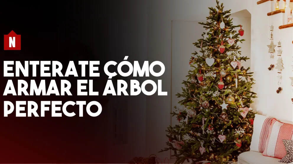 ¿Querés armar el arbolito perfecto? Enterate como