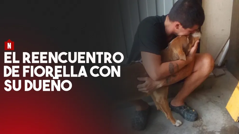 El reencuentro de Fiorella y su dueño colombiano