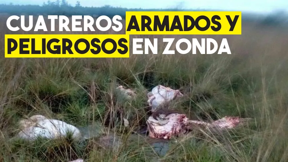 Denuncian que cuatreros dispararon a personal de Flora y Fauna