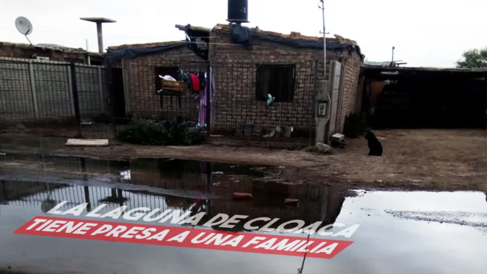 Saltar el charco de líquidos cloacales para salir