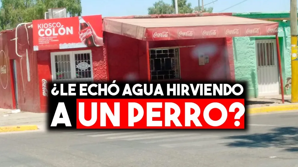 ¿Le echó agua hirviendo a un perro?