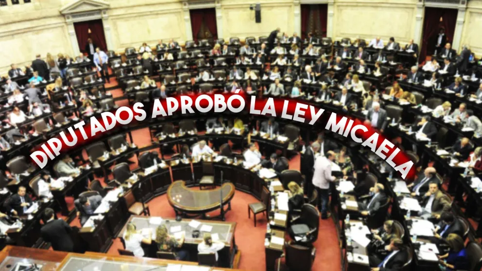 Diputados aprobó la Ley Micaela