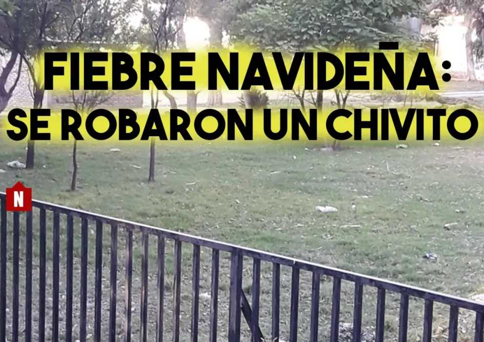 Fiebre navideña: se robaron un chivito