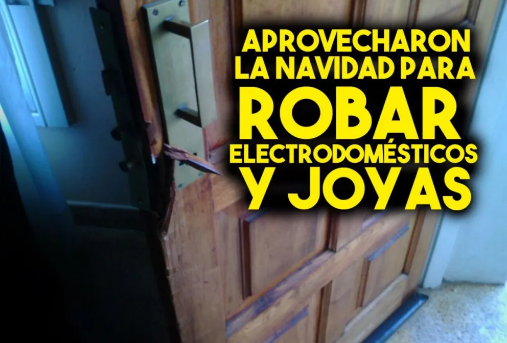 Aprovecharon la Navidad para robar electrodomésticos y joyas