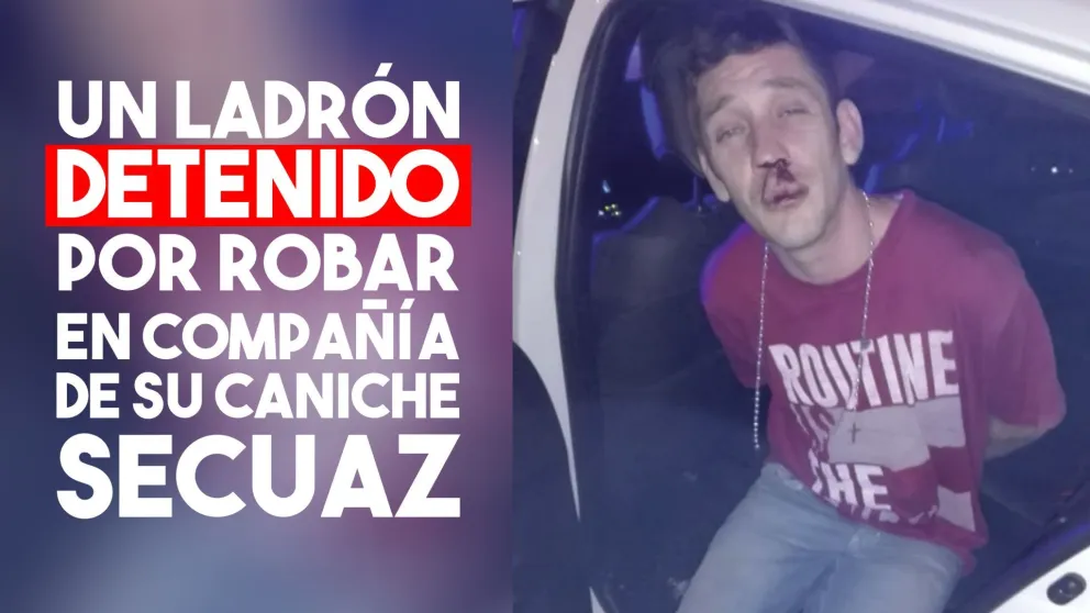 Detuvieron a un ladrón que robó con su caniche en brazos