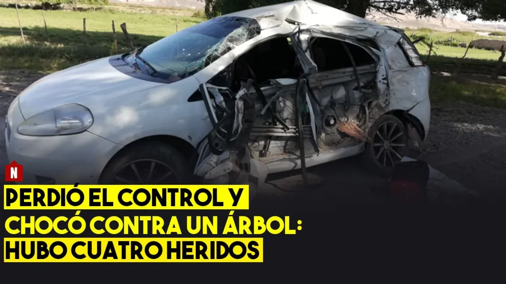 Perdió el control y chocó contra un árbol: hubo 4 heridos