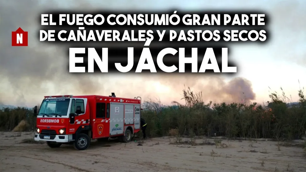 El fuego consumió gran parte de cañaverales en Jáchal
