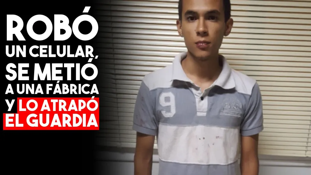 Robó un celular, se metió a una fábrica para escapar y lo atrapó el portero