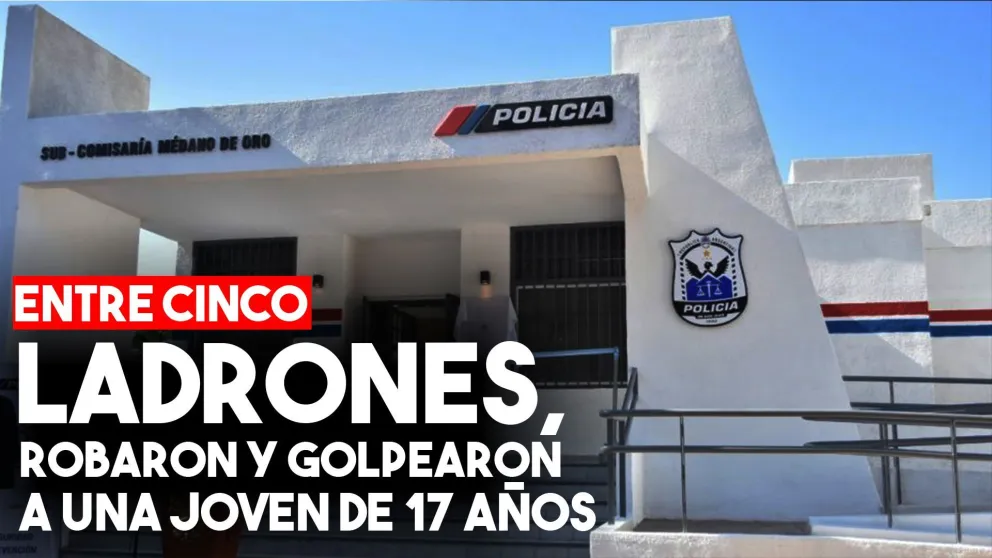 Entre cinco ladrones, robaron y torturaron a una joven de 17 años.