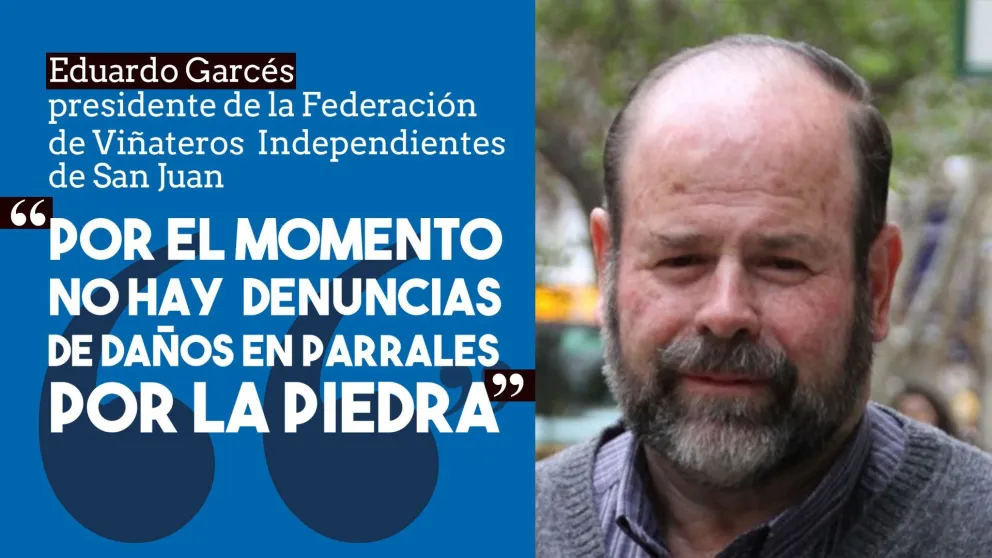 Federación de Viñateros: aún no hay denuncias por daños o pérdidas debido a la piedra
