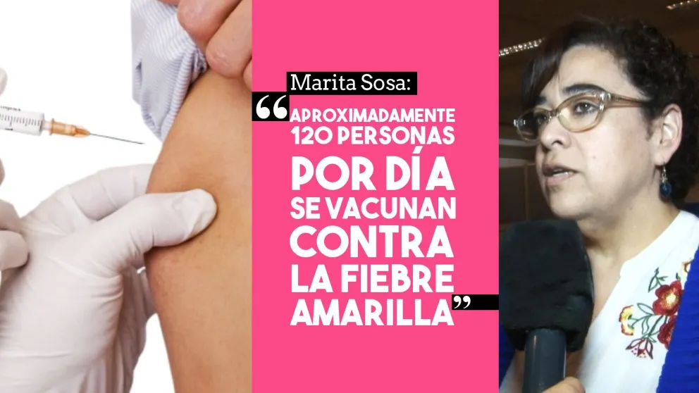 Marita Sosa: "Aproximadamente 120 personas por día se vacunan contra la fiebre amarilla"