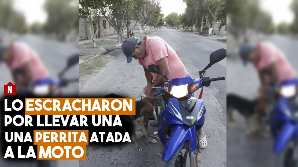 Lo escracharon por llevar una perra atada a la moto