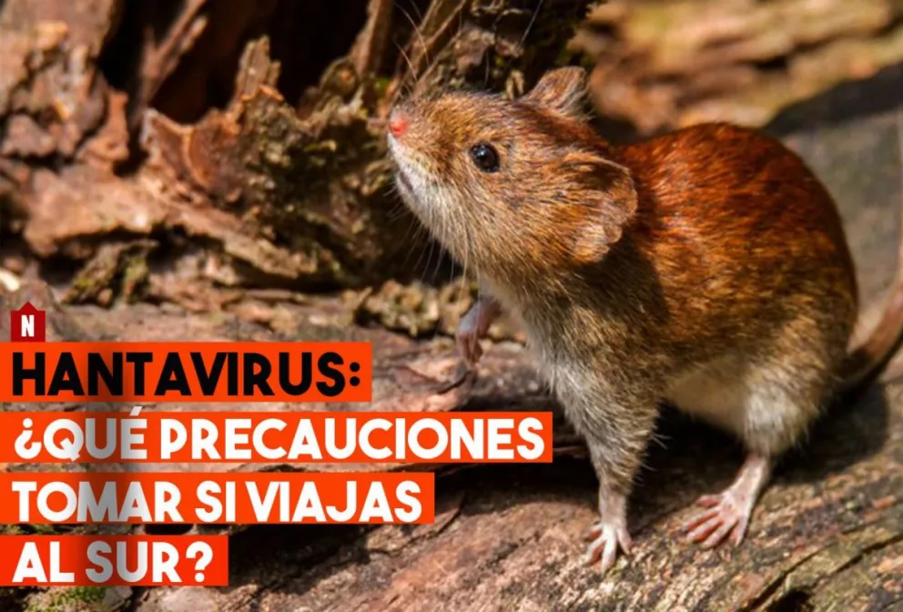 Hantavirus: ¿Qué precauciones tomar si viajas al Sur?
