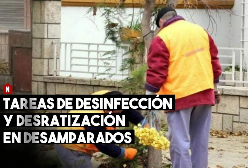 Desinfección y desratización en Desamparados
