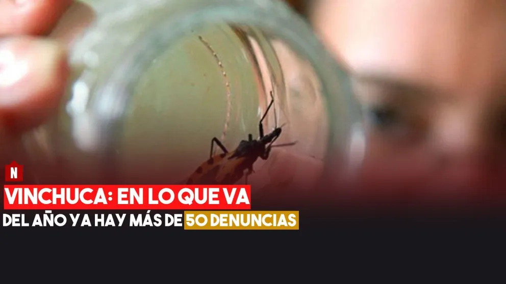 Programa Provincial de Control de Vectores: en lo que va del año ya hay más de 50 denuncias por vinchuca