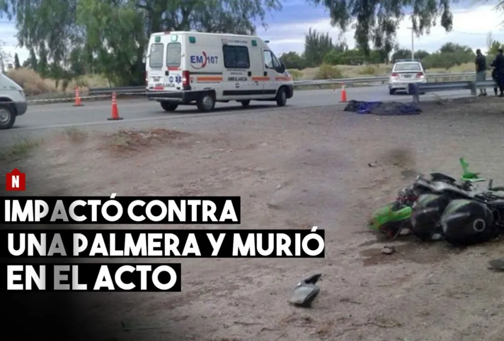 Impactó contra una palmera y murió en el acto