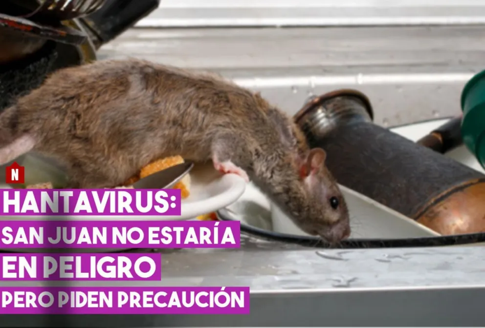 Hantavirus  ¿puede llegar a San Juan?