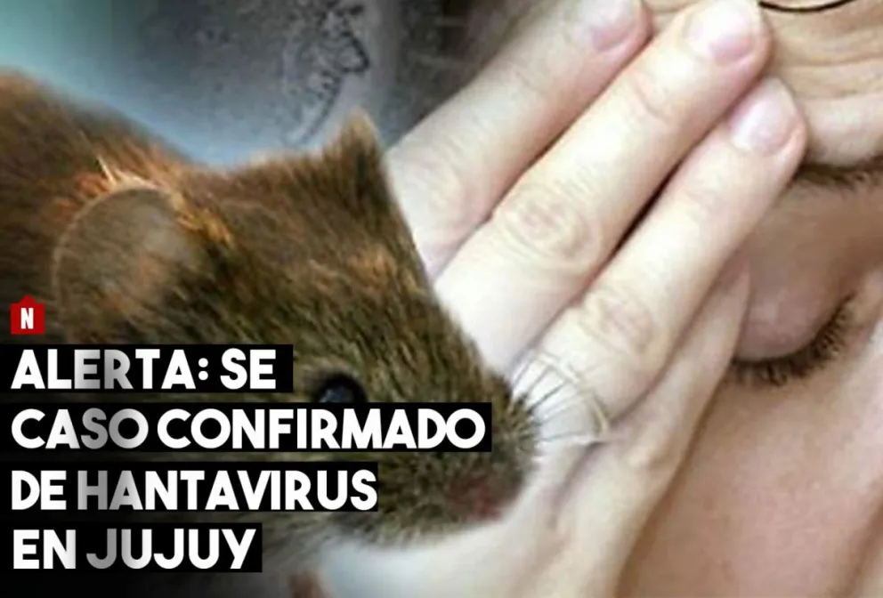 Hantavirus: alerta por un caso confirmado en Jujuy