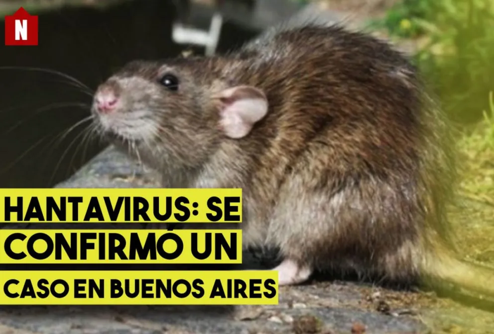 Hantavirus: confirman caso en Buenos Aires