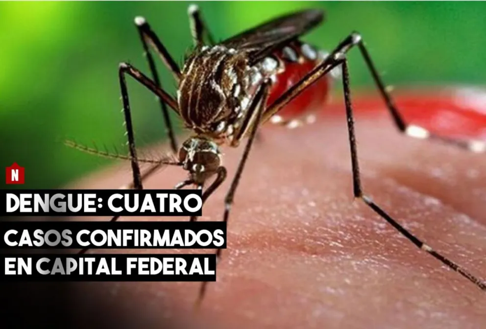 Capital Federal: 4 casos de dengue confirmados