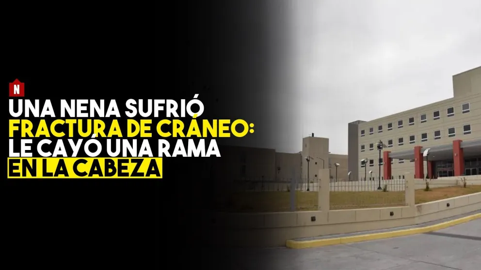 Una nena sufrió fractura de cráneo tras caerle una rama en la cabeza