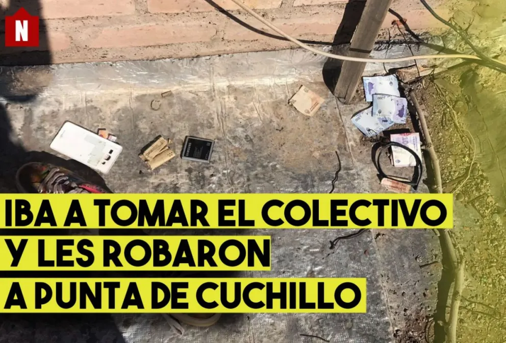 Robaron una mochila, la tiraron al techo y los atraparon