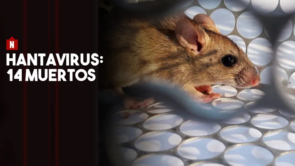 Hantavirus: ya son 14 las víctimas fatales